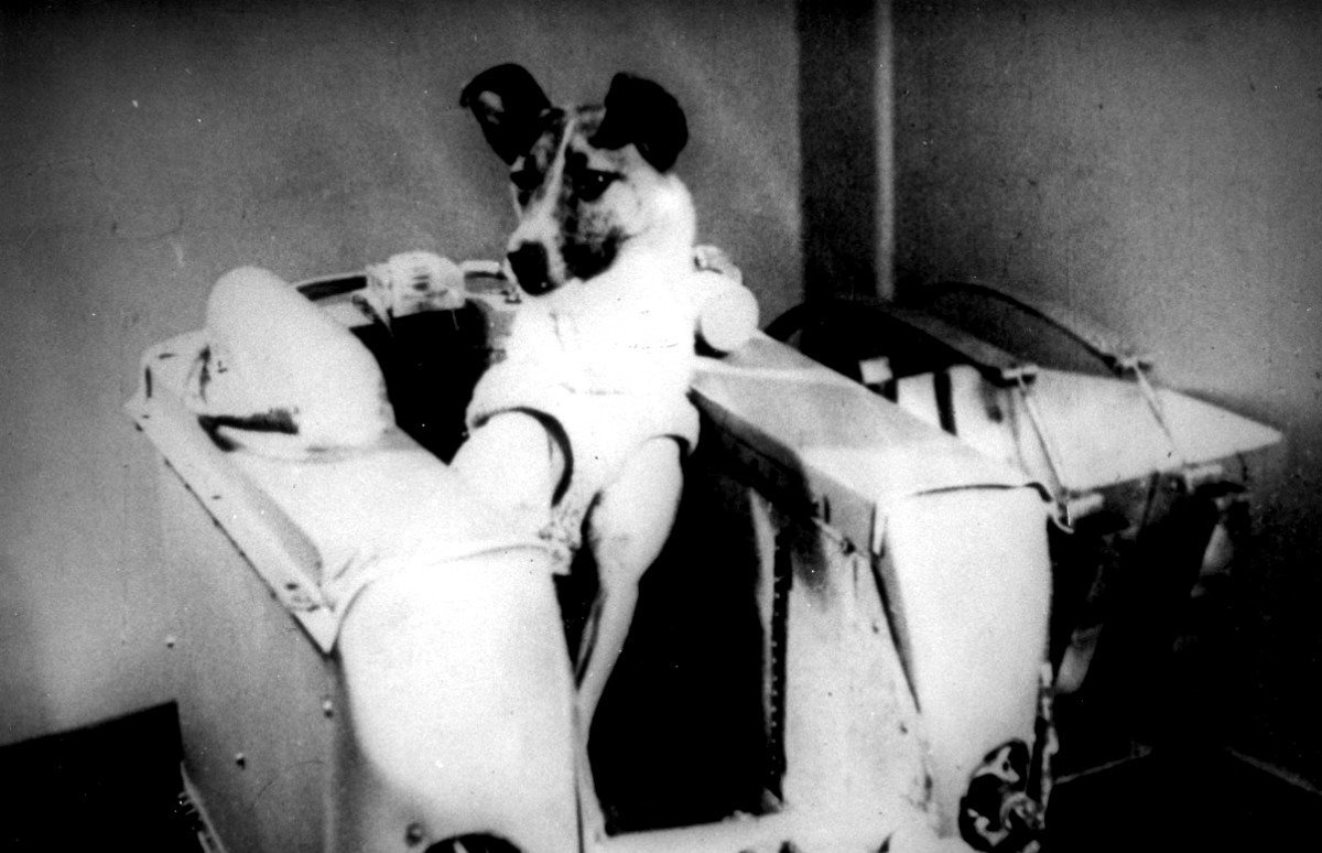 Laika: Ο πρώτος ταξιδιώτης του διαστήματος!