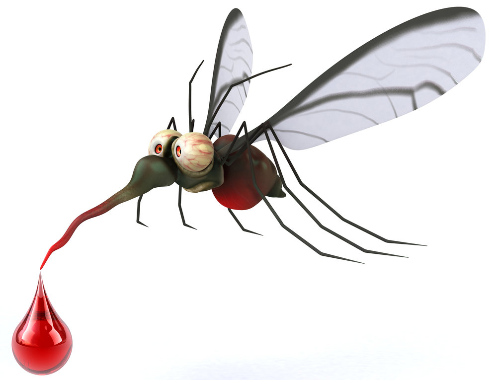 Οι αρρώστιες που μεταδίδονται από τα κουνούπια