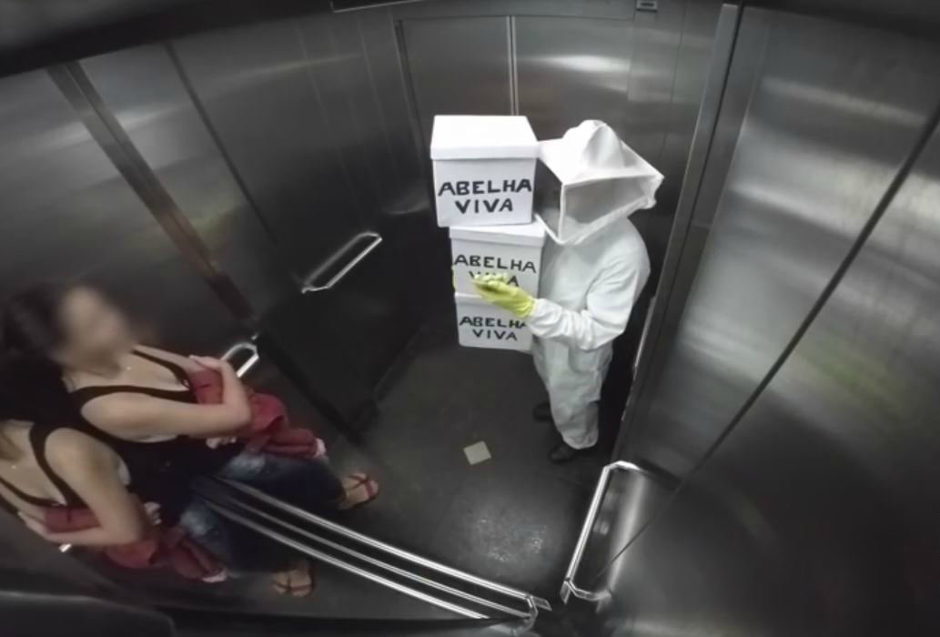 Μέλισσες μέσα στο ασανσέρ; Μη σου τύχει τέτοια φάρσα! (video)