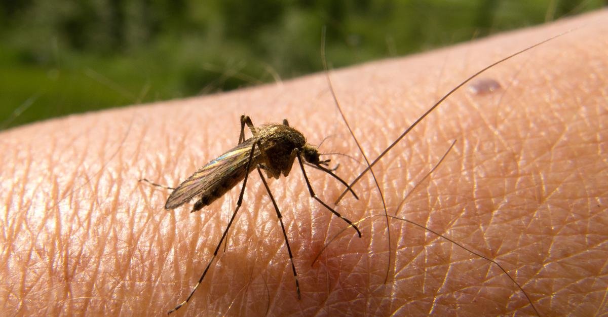 Ελονοσία και ταξίδι: Όσα πρέπει να γνωρίζετε
