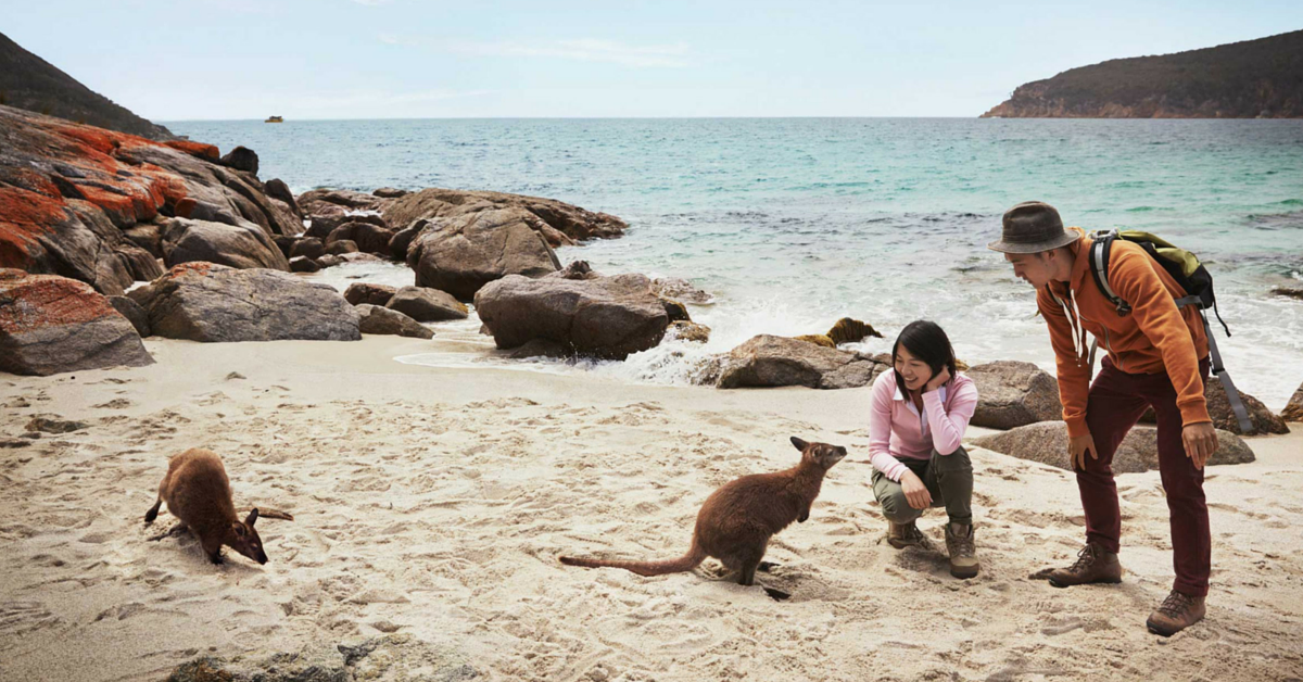 Η πιο όμορφη γωνιά της Αυστραλίας μέσα σε 2 λεπτά