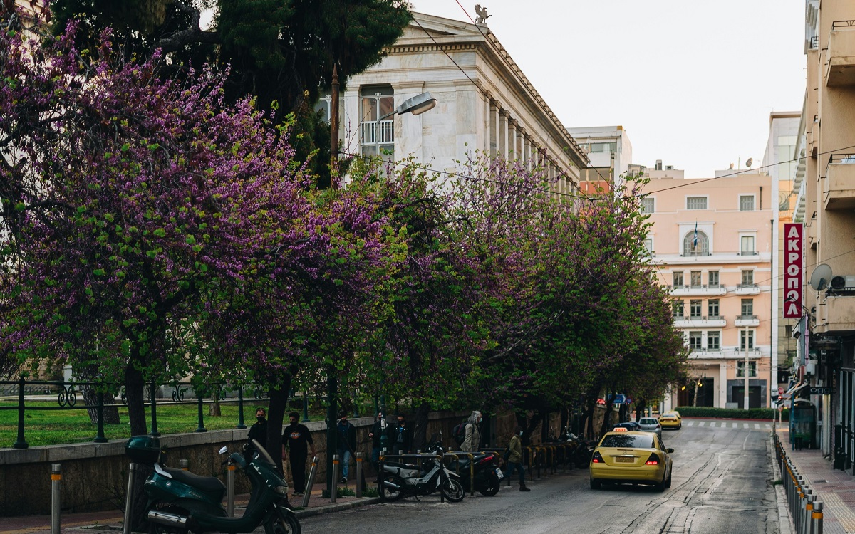 Τώρα σοβαρά η Αθήνα είναι η πόλη που μυρίζει ομορφότερα στον κόσμο;