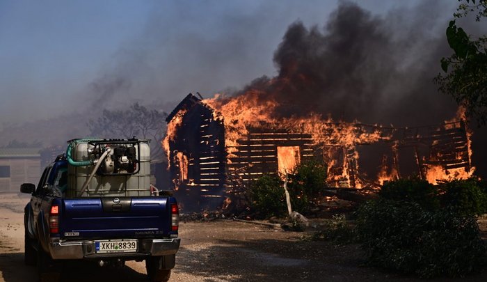 Η ανάρτηση της υπεύθυνης του καταφυγίου ζώων που κάηκε είναι σπαρακτική