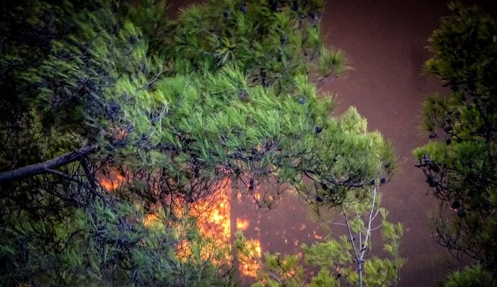 Μέσα από τις στάχτες: 4 Video από τις πυρκαγιές στη Ρόδο