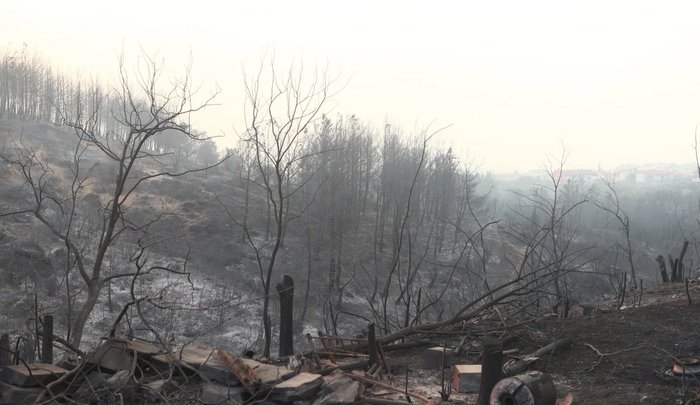 Ο δορυφορικός χάρτης για την πυρκαγιά στον Έβρο που δεν θες να δεις