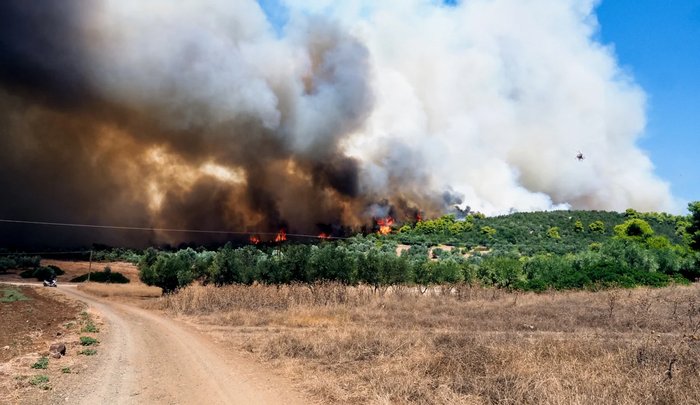 Όσα ξέρουμε για τη φωτιά σε Αλεξανδρούπολη, Εύβοια και Βοιωτία