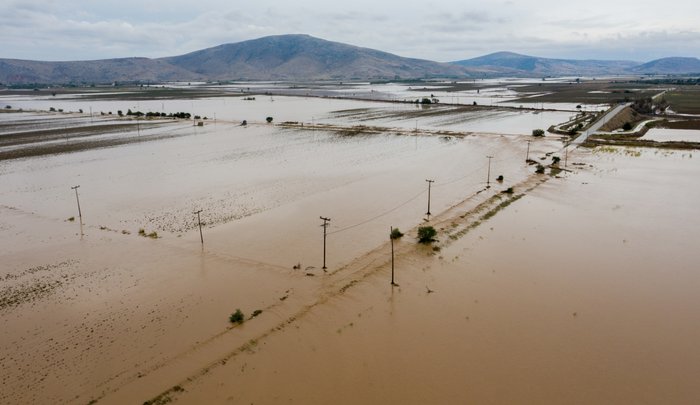 Σταματαααα! Μετά τις πλημμύρες έρχονται κουνούπια και επιδημίες λέει ο Αρναούτογλου