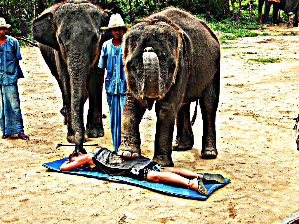 Που να σε πατήσει ελέφαντας. 5 εξωφρενικά μασάζ που υπόσχονται να σε κάνουν αμπαλάζ (video)