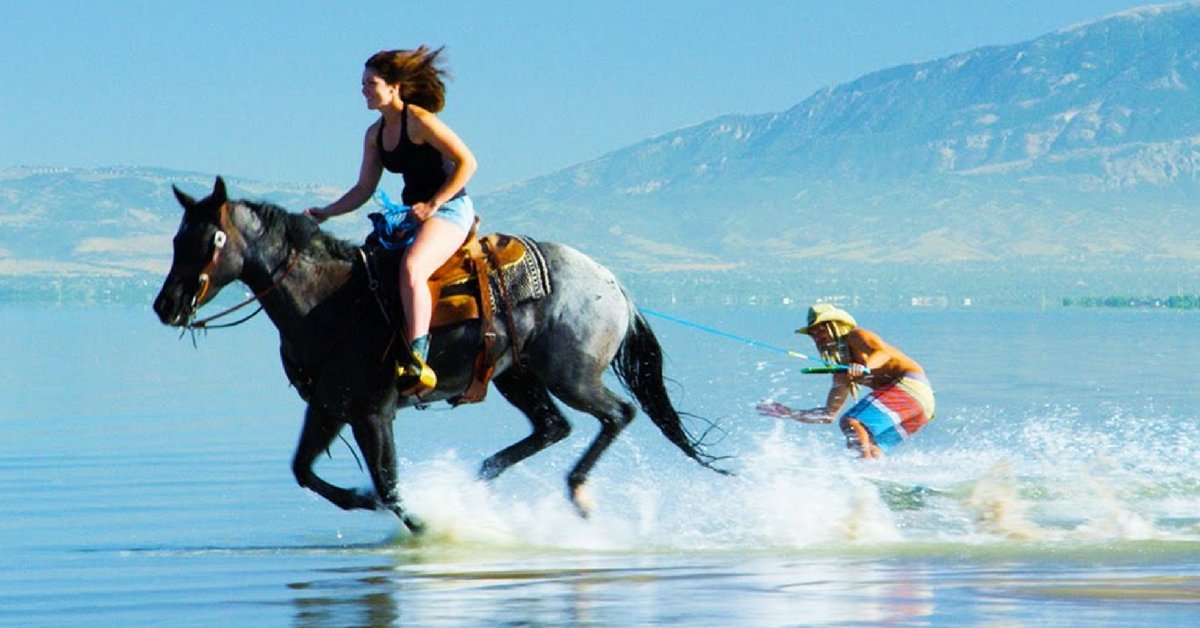 Surfing με άλογα; Τι φάση;