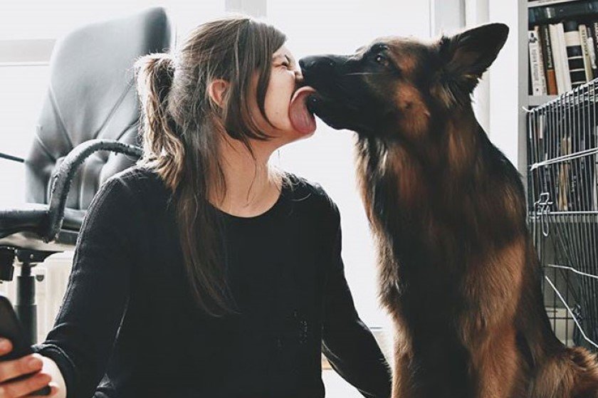 Φιλάτε και εσείς τα σκυλιά σας περισσότερο από τον σύντροφο σας;