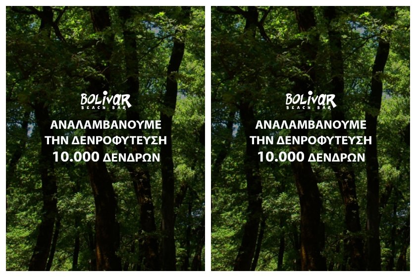 Το Bolivar αναλαμβάνει τη δενδροφύτευση 10.000 δέντρων