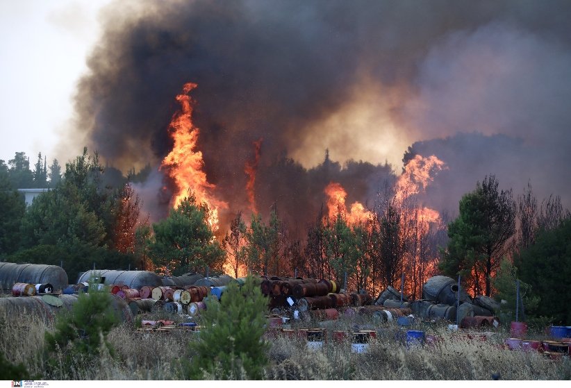 Ευτυχώς “ήμασταν προετοιμασμένοι”: Κάηκε το 50% έκτασης που καίγεται σε μια αντιπυρική περίοδο