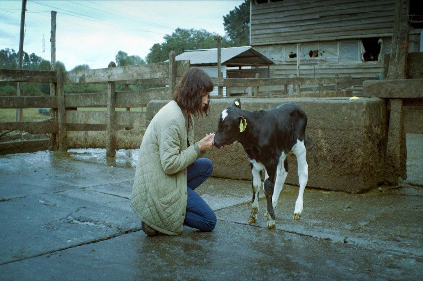 “Η αγελάδα που τραγούδησε στο μέλλον” είναι η πιο οικολογική ταινία που θα δεις φέτος