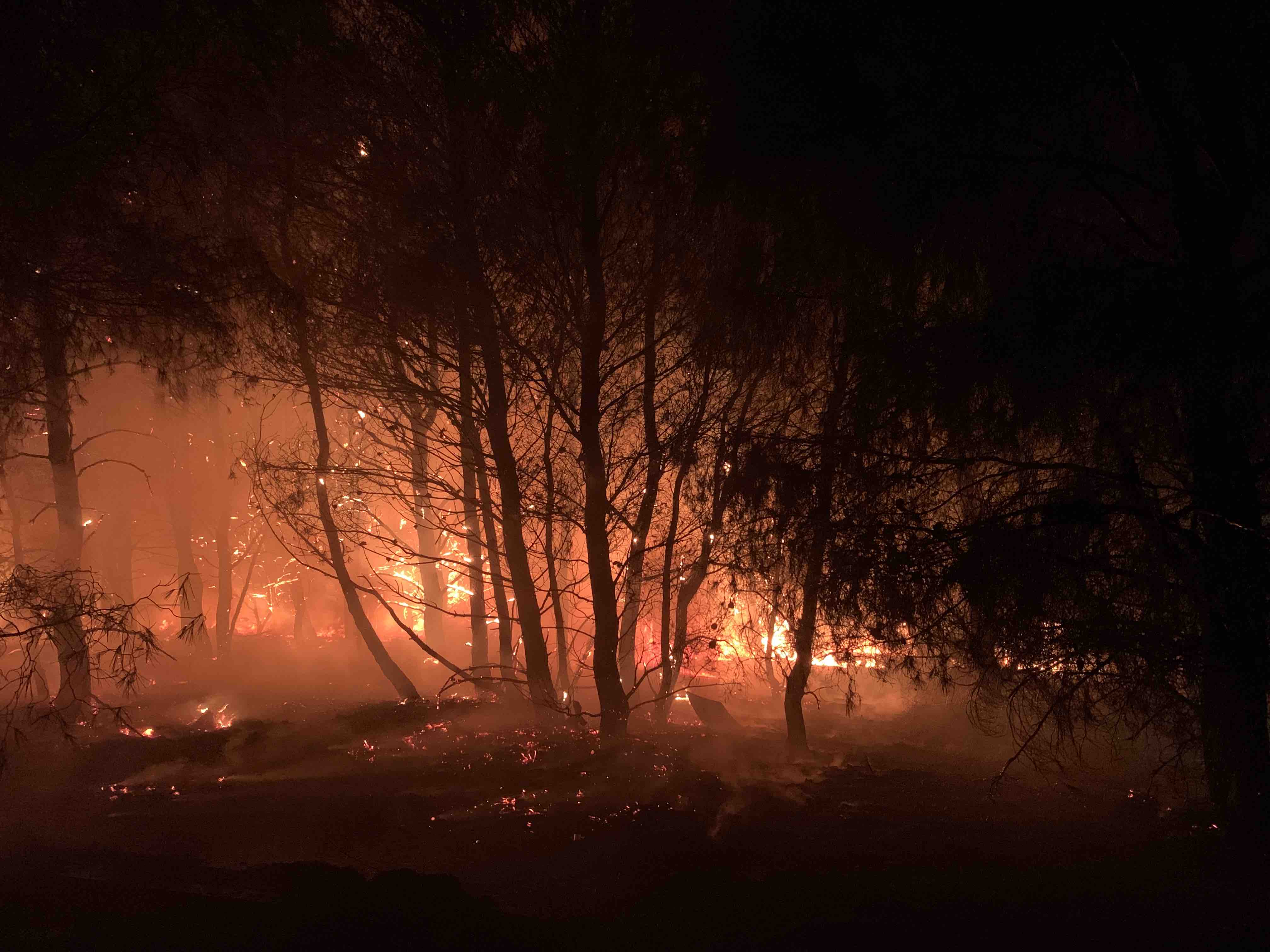 Φωτιές στο Βαρνάβα και την Πεντέλη © Απόλλων Γερόλυμπος
