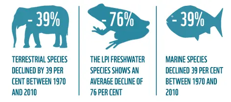 Αδιανόητα στοιχεία της WWF: Τρία στα τέσσερα άγρια ζώα του πλανήτη εξαφανίστηκαν σε 50 χρόνια